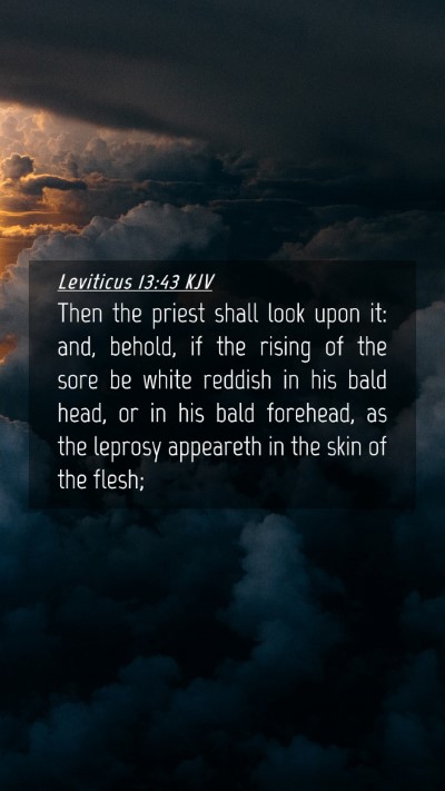 Picture 04 - Leviticus 13:43 KJV Mobile Phone Wallpaper - Then the priest shall look upon it: and, behold, - Mobile Bible Verse Wallpaper
