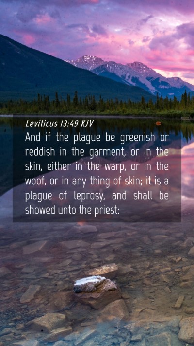 Picture 04 - Leviticus 13:49 KJV Mobile Phone Wallpaper - And if the plague be greenish or reddish in the - Mobile Bible Verse Wallpaper