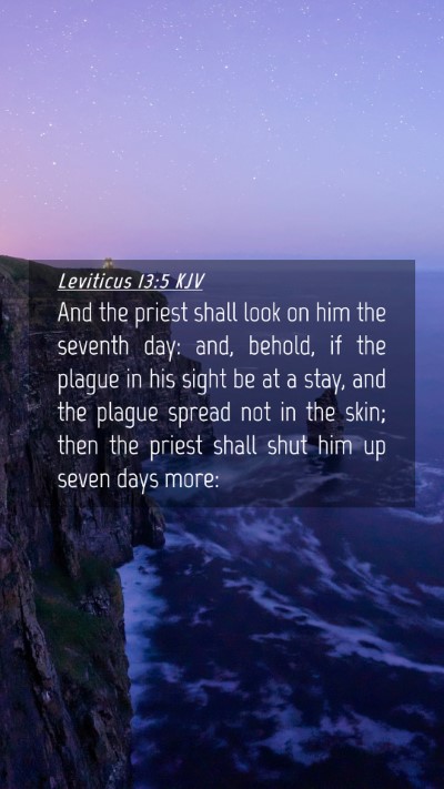 Picture 04 - Leviticus 13:5 KJV Mobile Phone Wallpaper - And the priest shall look on him the seventh day: - Mobile Bible Verse Wallpaper