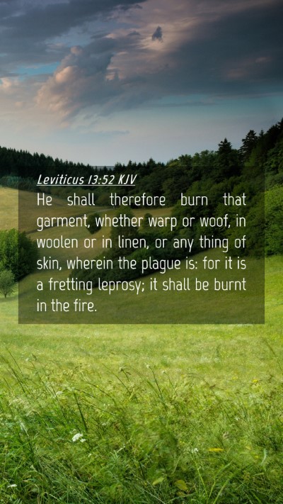 Picture 04 - Leviticus 13:52 KJV Mobile Phone Wallpaper - He shall therefore burn that garment, whether - Mobile Bible Verse Wallpaper