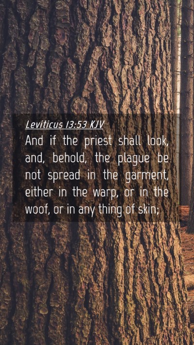 Picture 04 - Leviticus 13:53 KJV Mobile Phone Wallpaper - And if the priest shall look, and, behold, the - Mobile Bible Verse Wallpaper