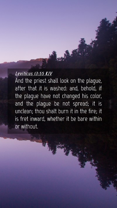 Picture 04 - Leviticus 13:55 KJV Mobile Phone Wallpaper - And the priest shall look on the plague, after - Mobile Bible Verse Wallpaper