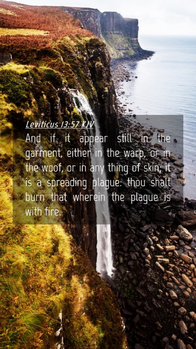 Picture 04 - Leviticus 13:57 KJV Mobile Phone Wallpaper - And if it appear still in the garment, either in - Mobile Bible Verse Wallpaper