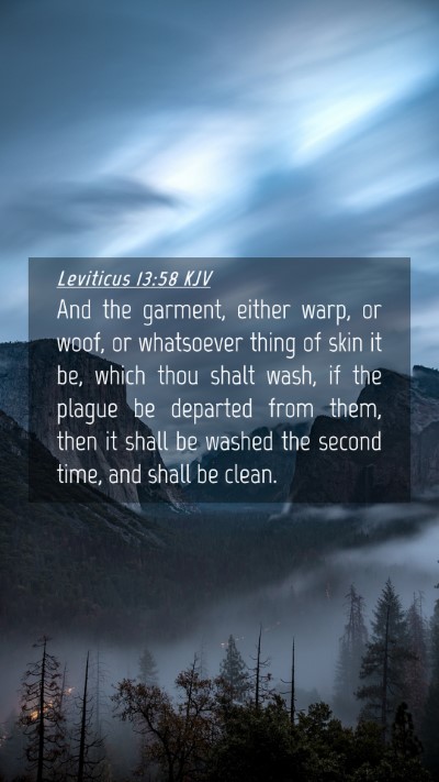 Picture 04 - Leviticus 13:58 KJV Mobile Phone Wallpaper - And the garment, either warp, or woof, or - Mobile Bible Verse Wallpaper