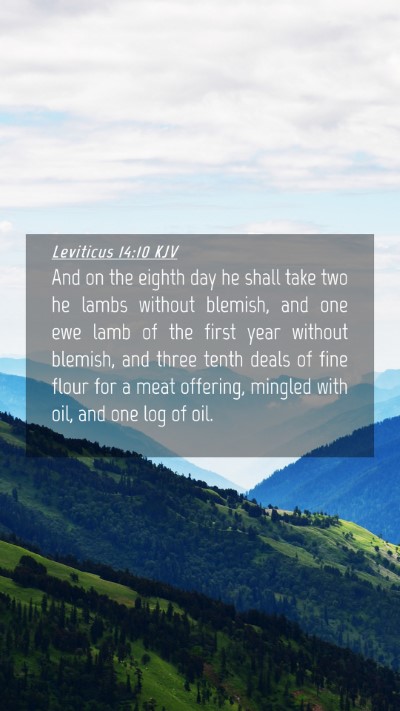 Picture 04 - Leviticus 14:10 KJV Mobile Phone Wallpaper - And on the eighth day he shall take two he lambs - Mobile Bible Verse Wallpaper