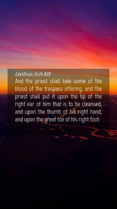 Picture 04 - Leviticus 14:14 KJV Mobile Phone Wallpaper - And the priest shall take some of the blood of - Mobile Bible Verse Wallpaper