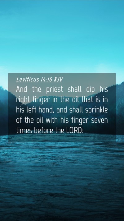 Picture 04 - Leviticus 14:16 KJV Mobile Phone Wallpaper - And the priest shall dip his right finger in the - Mobile Bible Verse Wallpaper
