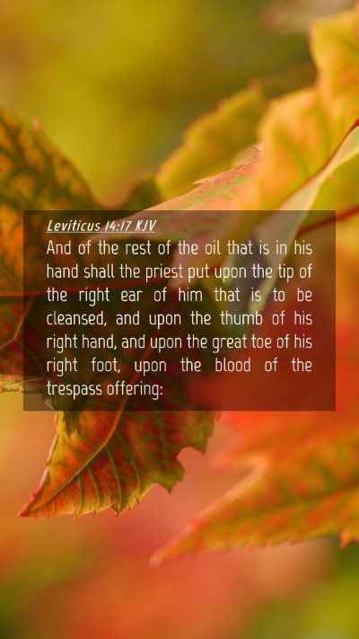 Picture 04 - Leviticus 14:17 KJV Mobile Phone Wallpaper - And of the rest of the oil that is in his hand - Mobile Bible Verse Wallpaper