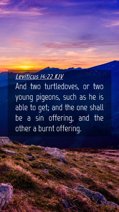 Picture 04 - Leviticus 14:22 KJV Mobile Phone Wallpaper - And two turtledoves, or two young pigeons, such - Mobile Bible Verse Wallpaper