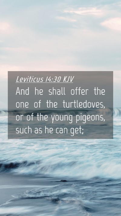 Picture 04 - Leviticus 14:30 KJV Mobile Phone Wallpaper - And he shall offer the one of the turtledoves, or - Mobile Bible Verse Wallpaper