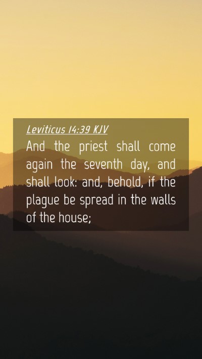 Picture 04 - Leviticus 14:39 KJV Mobile Phone Wallpaper - And the priest shall come again the seventh day, - Mobile Bible Verse Wallpaper