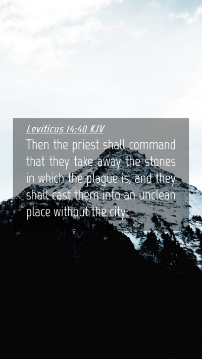 Picture 04 - Leviticus 14:40 KJV Mobile Phone Wallpaper - Then the priest shall command that they take away - Mobile Bible Verse Wallpaper