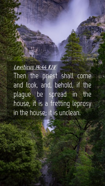 Picture 04 - Leviticus 14:44 KJV Mobile Phone Wallpaper - Then the priest shall come and look, and, behold, - Mobile Bible Verse Wallpaper