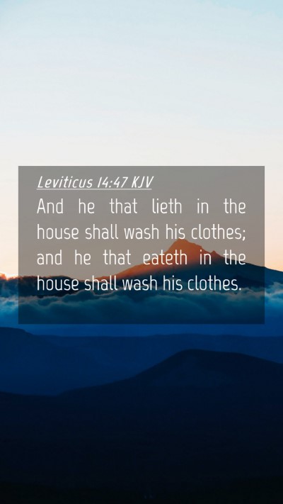 Picture 04 - Leviticus 14:47 KJV Mobile Phone Wallpaper - And he that lieth in the house shall wash his - Mobile Bible Verse Wallpaper