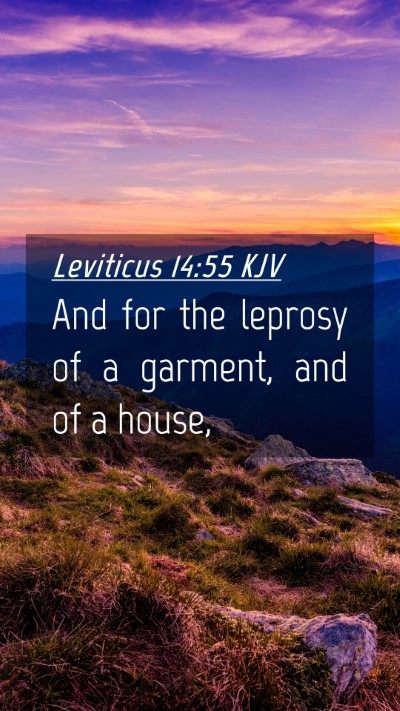 Picture 04 - Leviticus 14:55 KJV Mobile Phone Wallpaper - And for the leprosy of a garment, and of a - Mobile Bible Verse Wallpaper