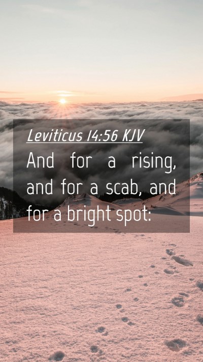Picture 04 - Leviticus 14:56 KJV Mobile Phone Wallpaper - And for a rising, and for a scab, and for a - Mobile Bible Verse Wallpaper