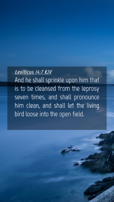 Picture 04 - Leviticus 14:7 KJV Mobile Phone Wallpaper - And he shall sprinkle upon him that is to be - Mobile Bible Verse Wallpaper