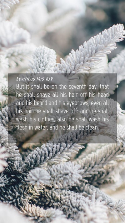 Picture 04 - Leviticus 14:9 KJV Mobile Phone Wallpaper - But it shall be on the seventh day, that he shall - Mobile Bible Verse Wallpaper
