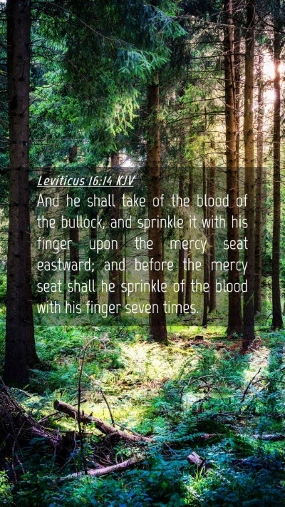Picture 04 - Leviticus 16:14 KJV Mobile Phone Wallpaper - And he shall take of the blood of the bullock, - Mobile Bible Verse Wallpaper
