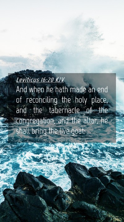 Picture 04 - Leviticus 16:20 KJV Mobile Phone Wallpaper - And when he hath made an end of reconciling the - Mobile Bible Verse Wallpaper
