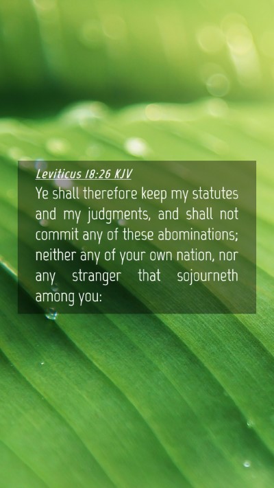 Picture 04 - Leviticus 18:26 KJV Mobile Phone Wallpaper - Ye shall therefore keep my statutes and my - Mobile Bible Verse Wallpaper