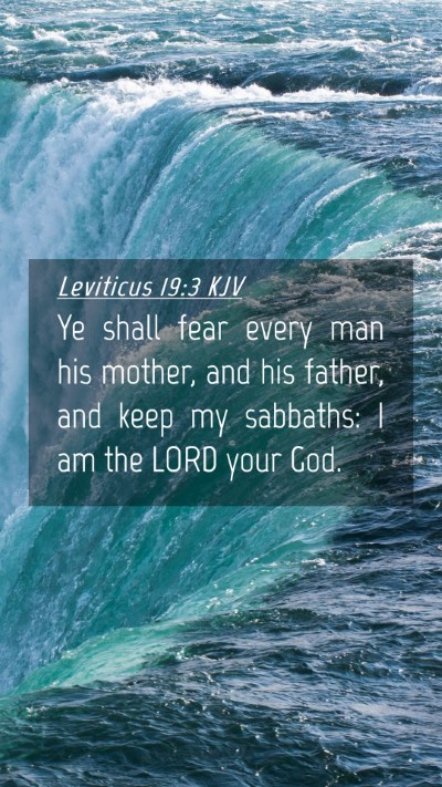 Picture 04 - Leviticus 19:3 KJV Mobile Phone Wallpaper - Ye shall fear every man his mother, and his - Mobile Bible Verse Wallpaper