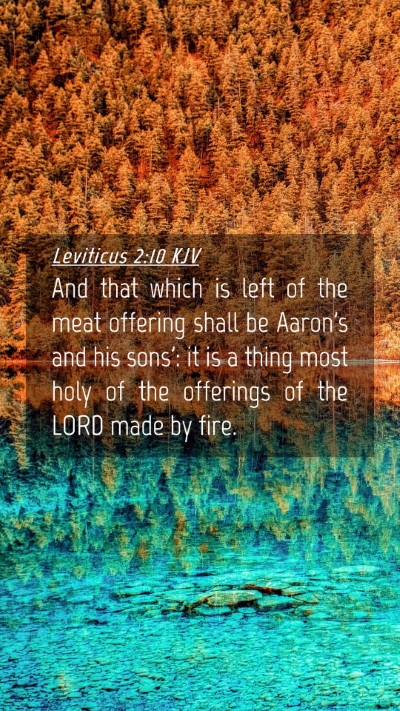 Picture 04 - Leviticus 2:10 KJV Mobile Phone Wallpaper - And that which is left of the meat offering shall - Mobile Bible Verse Wallpaper