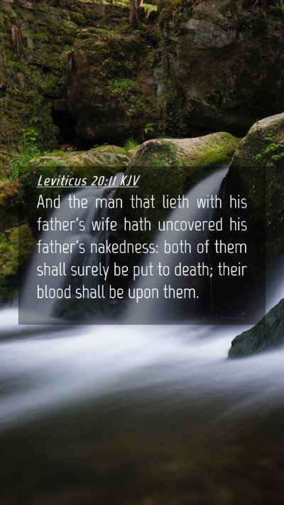 Picture 04 - Leviticus 20:11 KJV Mobile Phone Wallpaper - And the man that lieth with his father's wife - Mobile Bible Verse Wallpaper
