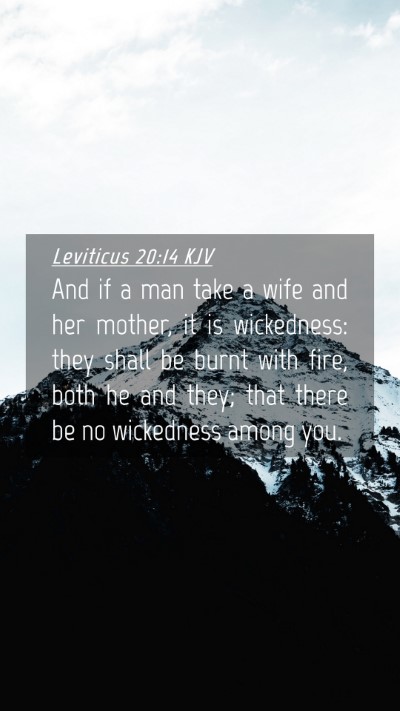 Picture 04 - Leviticus 20:14 KJV Mobile Phone Wallpaper - And if a man take a wife and her mother, it is - Mobile Bible Verse Wallpaper