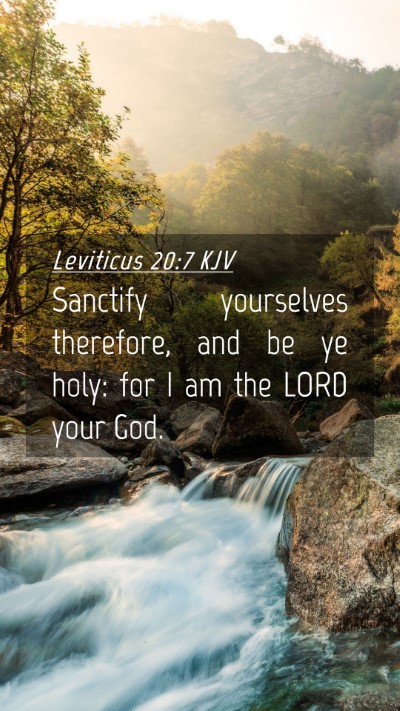 Picture 04 - Leviticus 20:7 KJV Mobile Phone Wallpaper - Sanctify yourselves therefore, and be ye holy: - Mobile Bible Verse Wallpaper