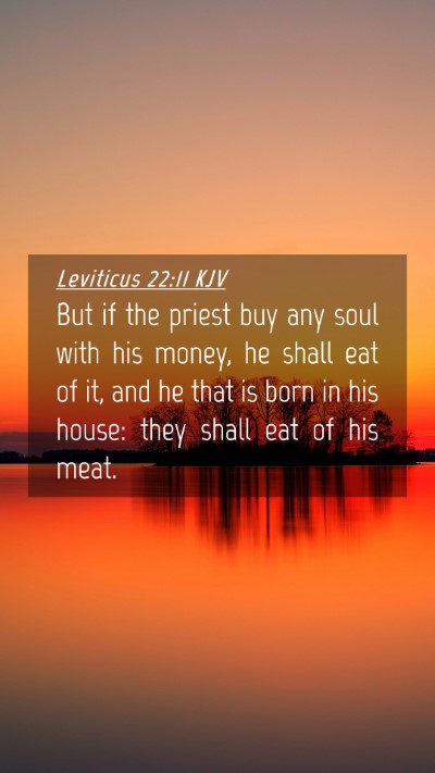 Picture 04 - Leviticus 22:11 KJV Mobile Phone Wallpaper - But if the priest buy any soul with his money, he - Mobile Bible Verse Wallpaper