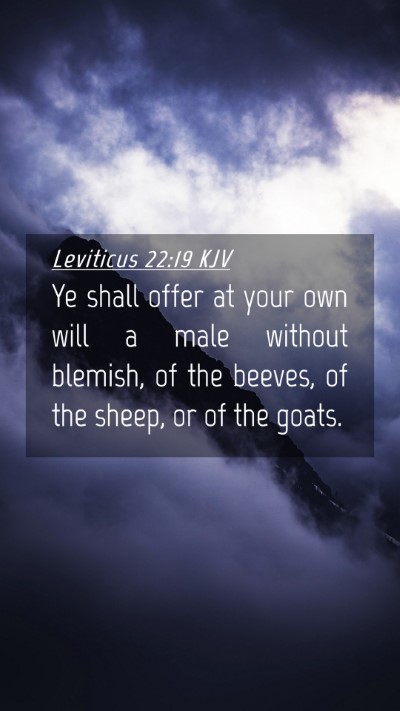 Picture 04 - Leviticus 22:19 KJV Mobile Phone Wallpaper - Ye shall offer at your own will a male without - Mobile Bible Verse Wallpaper