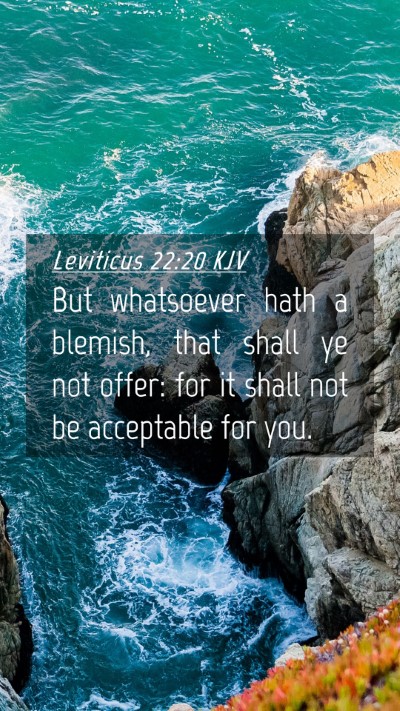 Picture 04 - Leviticus 22:20 KJV Mobile Phone Wallpaper - But whatsoever hath a blemish, that shall ye not - Mobile Bible Verse Wallpaper