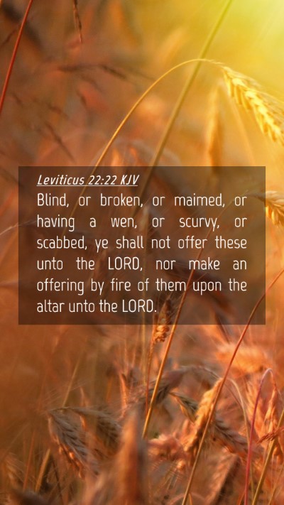Picture 04 - Leviticus 22:22 KJV Mobile Phone Wallpaper - Blind, or broken, or maimed, or having a wen, or - Mobile Bible Verse Wallpaper