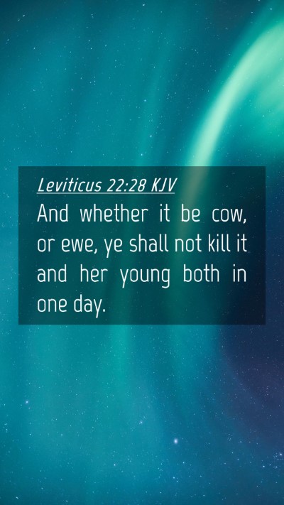 Picture 04 - Leviticus 22:28 KJV Mobile Phone Wallpaper - And whether it be cow, or ewe, ye shall not kill - Mobile Bible Verse Wallpaper