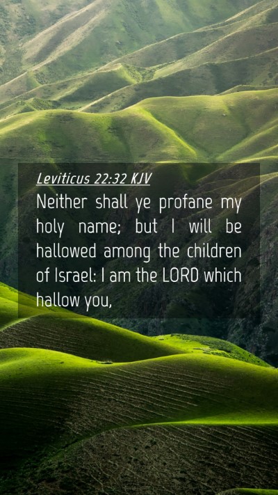 Picture 04 - Leviticus 22:32 KJV Mobile Phone Wallpaper - Neither shall ye profane my holy name; but I will - Mobile Bible Verse Wallpaper