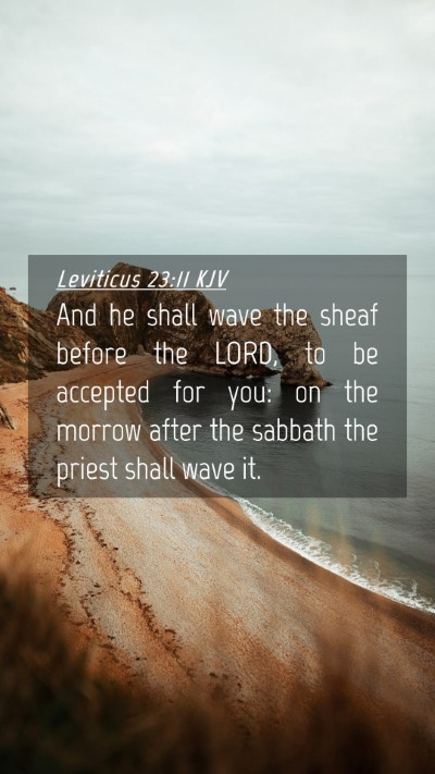 Picture 04 - Leviticus 23:11 KJV Mobile Phone Wallpaper - And he shall wave the sheaf before the LORD, to - Mobile Bible Verse Wallpaper