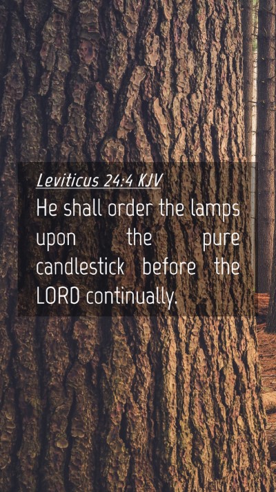 Picture 04 - Leviticus 24:4 KJV Mobile Phone Wallpaper - He shall order the lamps upon the pure - Mobile Bible Verse Wallpaper