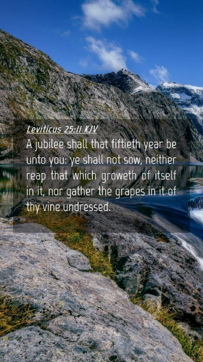 Picture 04 - Leviticus 25:11 KJV Mobile Phone Wallpaper - A jubilee shall that fiftieth year be unto you: - Mobile Bible Verse Wallpaper