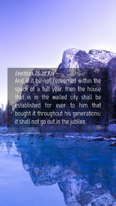 Picture 04 - Leviticus 25:30 KJV Mobile Phone Wallpaper - And if it be not redeemed within the space of a - Mobile Bible Verse Wallpaper