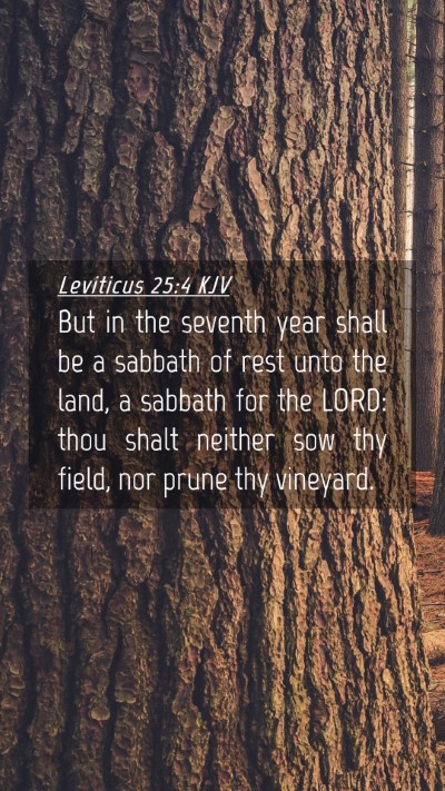 Picture 04 - Leviticus 25:4 KJV Mobile Phone Wallpaper - But in the seventh year shall be a sabbath of - Mobile Bible Verse Wallpaper