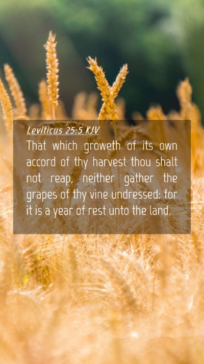 Picture 04 - Leviticus 25:5 KJV Mobile Phone Wallpaper - That which groweth of its own accord of thy - Mobile Bible Verse Wallpaper