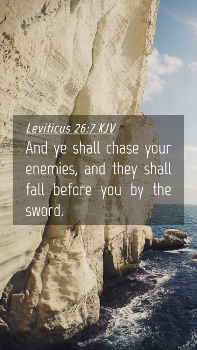Picture 04 - Leviticus 26:7 KJV Mobile Phone Wallpaper - And ye shall chase your enemies, and they shall - Mobile Bible Verse Wallpaper
