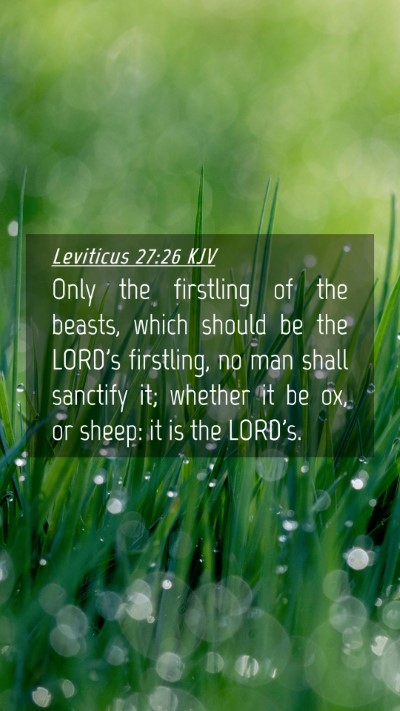 Picture 04 - Leviticus 27:26 KJV Mobile Phone Wallpaper - Only the firstling of the beasts, which should be - Mobile Bible Verse Wallpaper