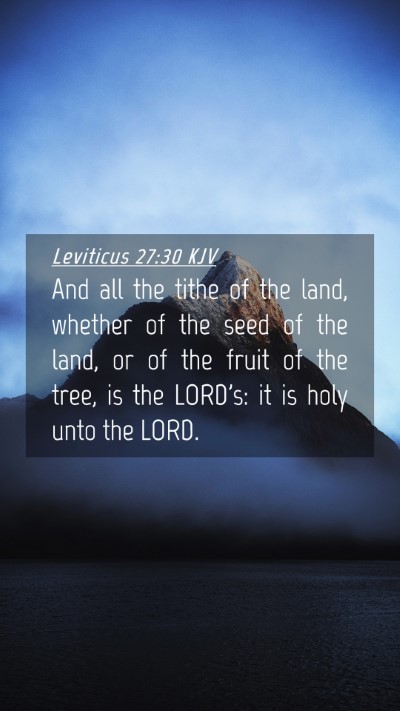 Picture 04 - Leviticus 27:30 KJV Mobile Phone Wallpaper - And all the tithe of the land, whether of the - Mobile Bible Verse Wallpaper
