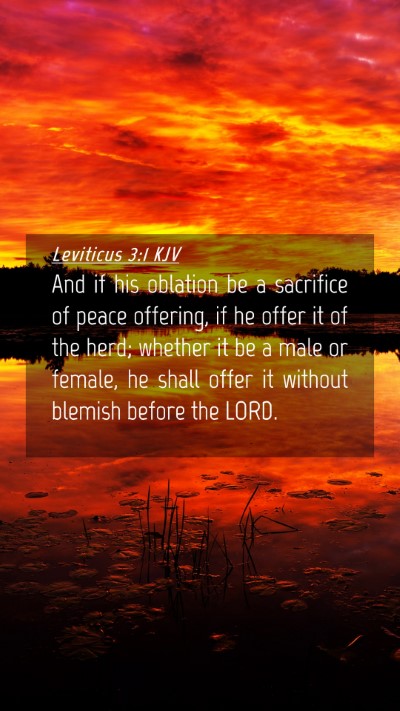 Picture 04 - Leviticus 3:1 KJV Mobile Phone Wallpaper - And if his oblation be a sacrifice of peace - Mobile Bible Verse Wallpaper