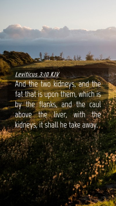 Picture 04 - Leviticus 3:10 KJV Mobile Phone Wallpaper - And the two kidneys, and the fat that is upon - Mobile Bible Verse Wallpaper