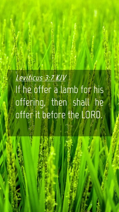 Picture 04 - Leviticus 3:7 KJV Mobile Phone Wallpaper - If he offer a lamb for his offering, then shall - Mobile Bible Verse Wallpaper