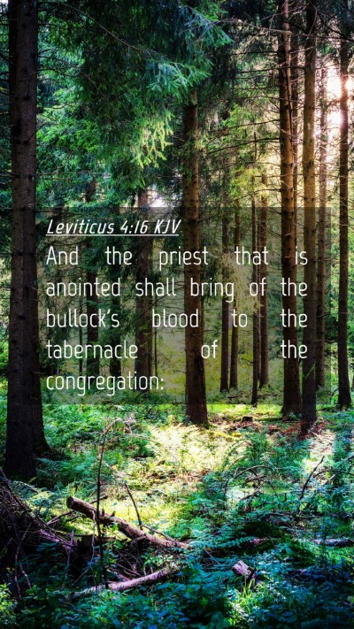 Picture 04 - Leviticus 4:16 KJV Mobile Phone Wallpaper - And the priest that is anointed shall bring of - Mobile Bible Verse Wallpaper