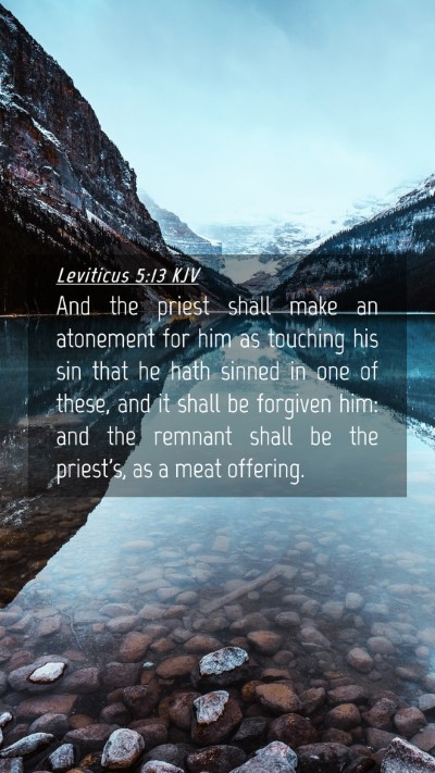 Picture 04 - Leviticus 5:13 KJV Mobile Phone Wallpaper - And the priest shall make an atonement for him as - Mobile Bible Verse Wallpaper